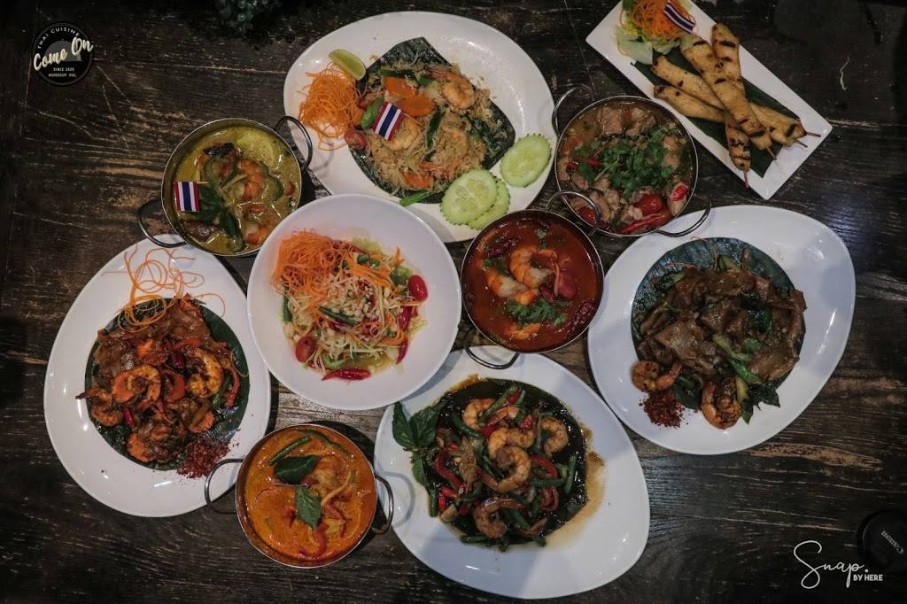 Come On Thai Cuisine | restaurant | 7803 3rd Ave, Brooklyn, NY 11209, USA | 3475606666 OR +1 347-560-6666