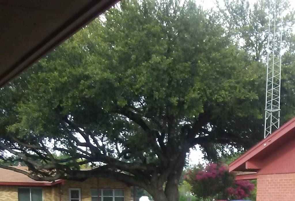 Dairy Queen Store | restaurant | State Hwy 31 W, Trinidad, TX 75163, USA | 9037782952 OR +1 903-778-2952