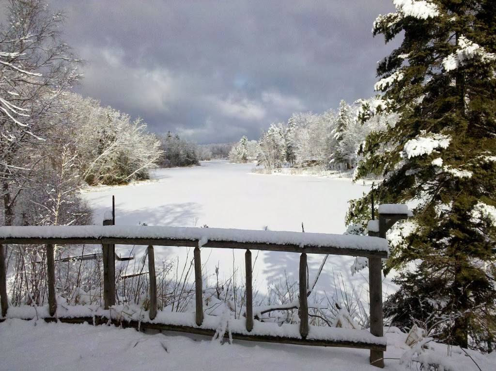 Thirsty Bear Pub | restaurant | W10968 County Rd J, Deerbrook, WI 54424, USA | 7156236414 OR +1 715-623-6414