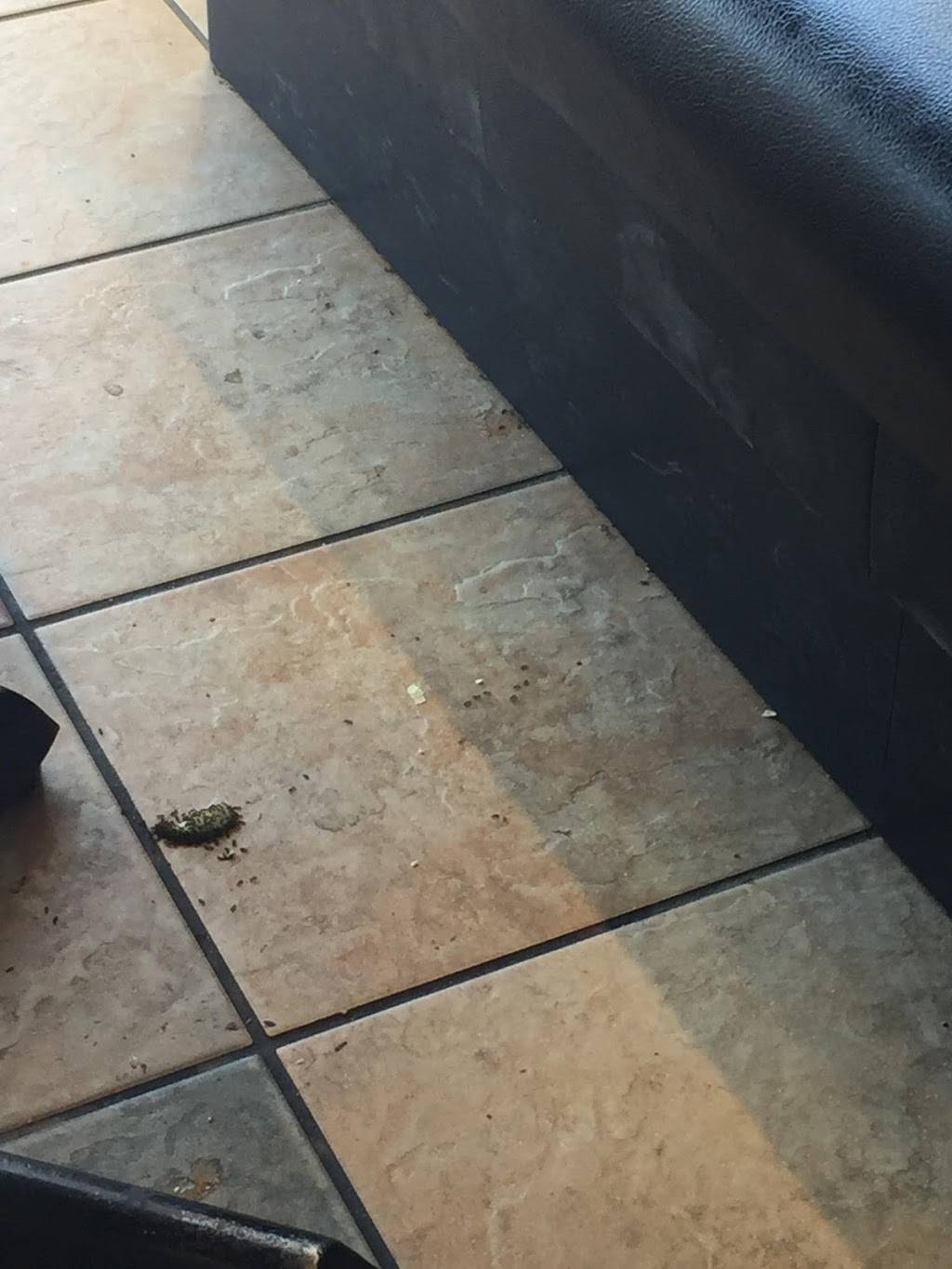 Subway | restaurant | 1355 Huron St, London, ON N5V 2E3, Canada | 5194532454 OR +1 519-453-2454