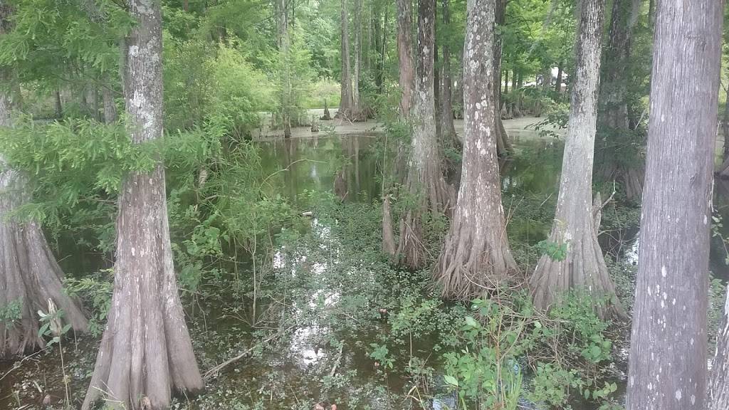 Kevins Cajun Seafood | restaurant | 12555 Home Port Dr, Maurepas, LA 70449, USA | 2256983899 OR +1 225-698-3899