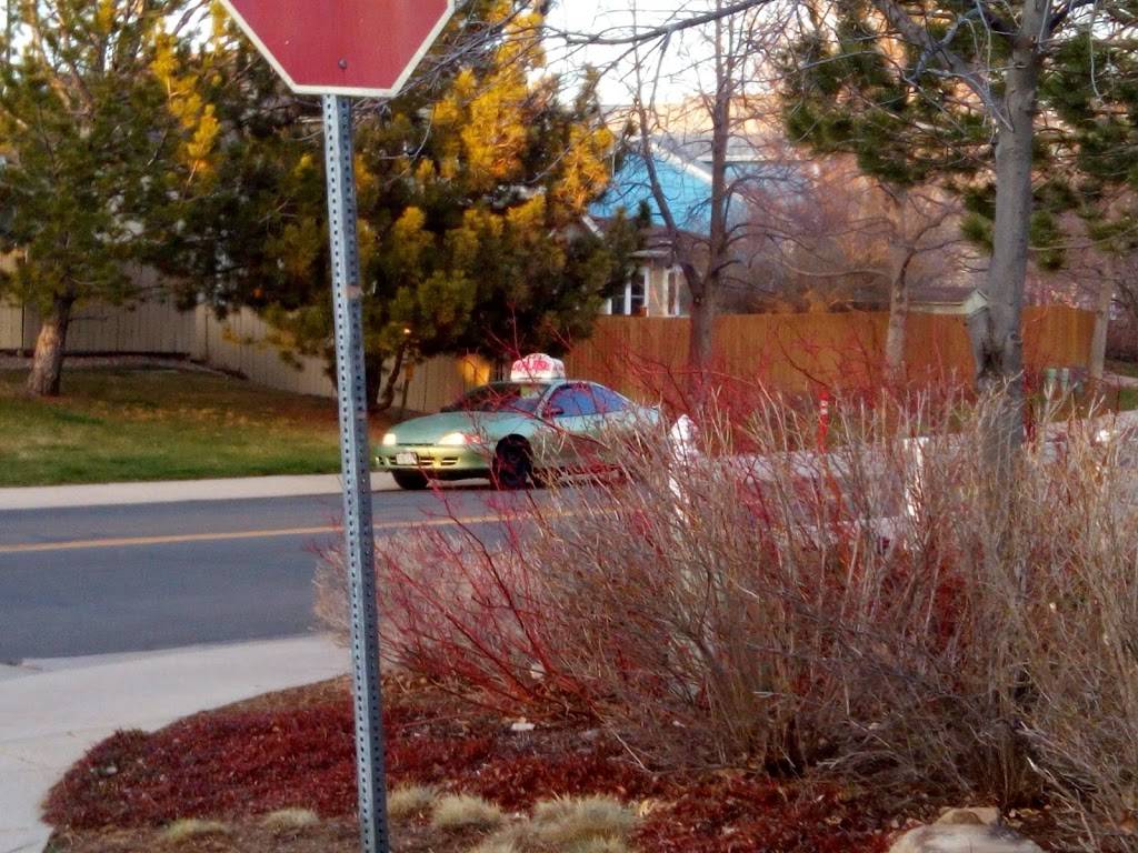 Papa Johns Pizza | restaurant | 3140 Village Vista Dr #102, Erie, CO 80516, USA | 3036040500 OR +1 303-604-0500