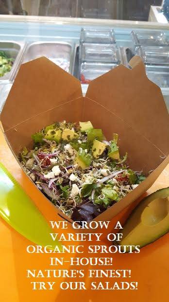 CityDetox | restaurant | 264 Victoria St N, Kitchener, ON N2H 5C8, Canada | 5197217179 OR +1 519-721-7179