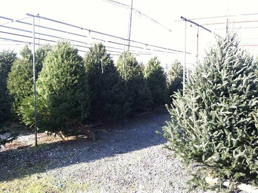 Logullos Country Market | restaurant | 5261 Summit Bridge Rd, Middletown, DE 19709, USA | 3023783620 OR +1 302-378-3620