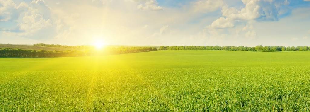 Blue & White Snack Bar | meal takeaway | 905 Union St, Hollidaysburg, PA 16648, USA | 8146959031 OR +1 814-695-9031