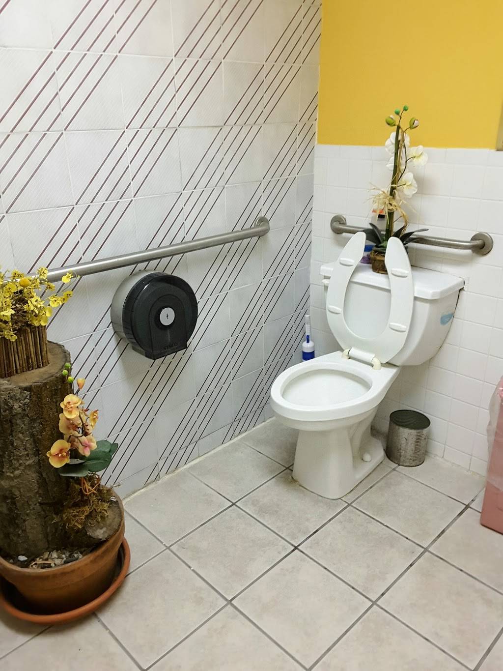 Silk Cuisine | restaurant | 654 Lancaster Ave, Bryn Mawr, PA 19010, USA | 6105202470 OR +1 610-520-2470