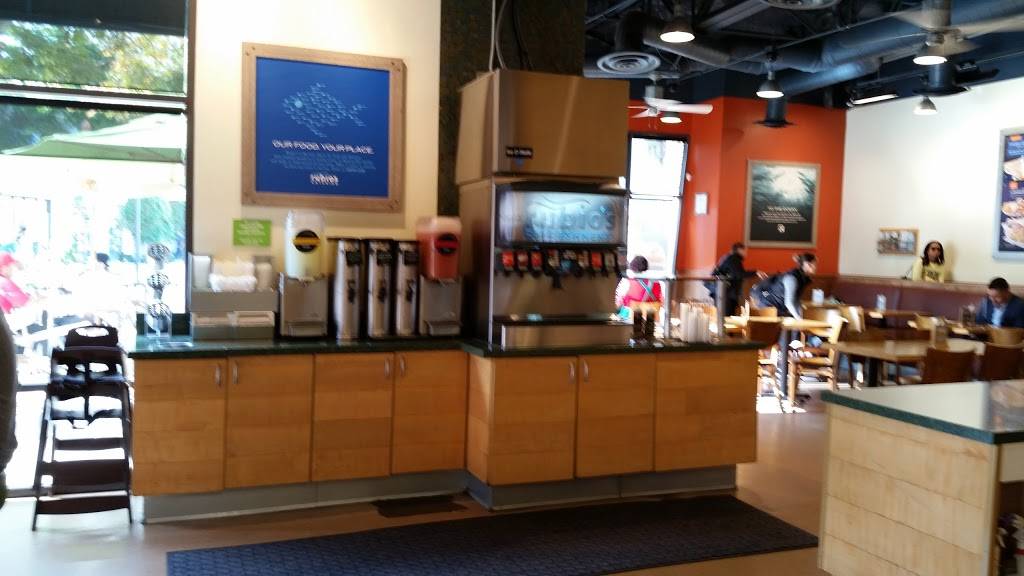 Rubios Coastal Grill | restaurant | 1480 Eastlake Pkwy Suite 901, Chula Vista, CA 91915, USA | 6194822149 OR +1 619-482-2149