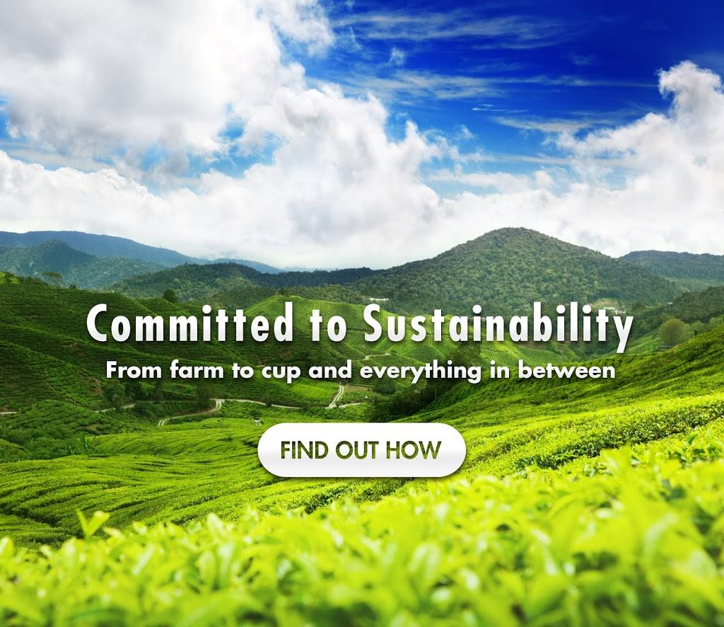 Royal Cup Coffee and Tea | restaurant | 2801 Pringle St, North Charleston, SC 29405, USA | 8003665836 OR +1 800-366-5836