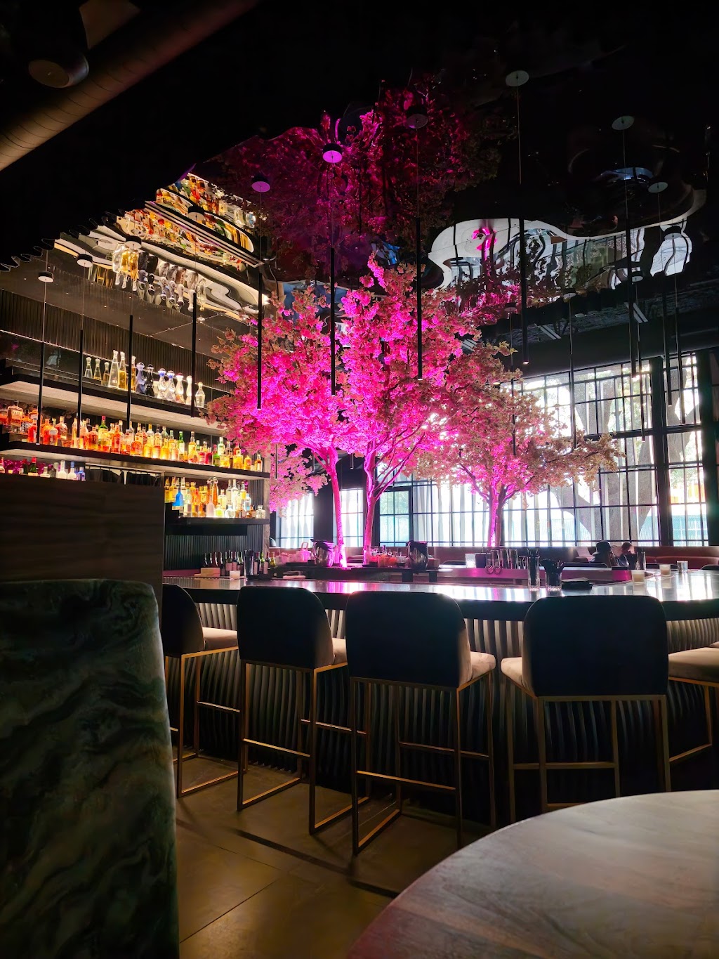 MUSE | restaurant | 3210 W Dallas St, Houston, TX 77019, USA | 7134856641 OR +1 713-485-6641