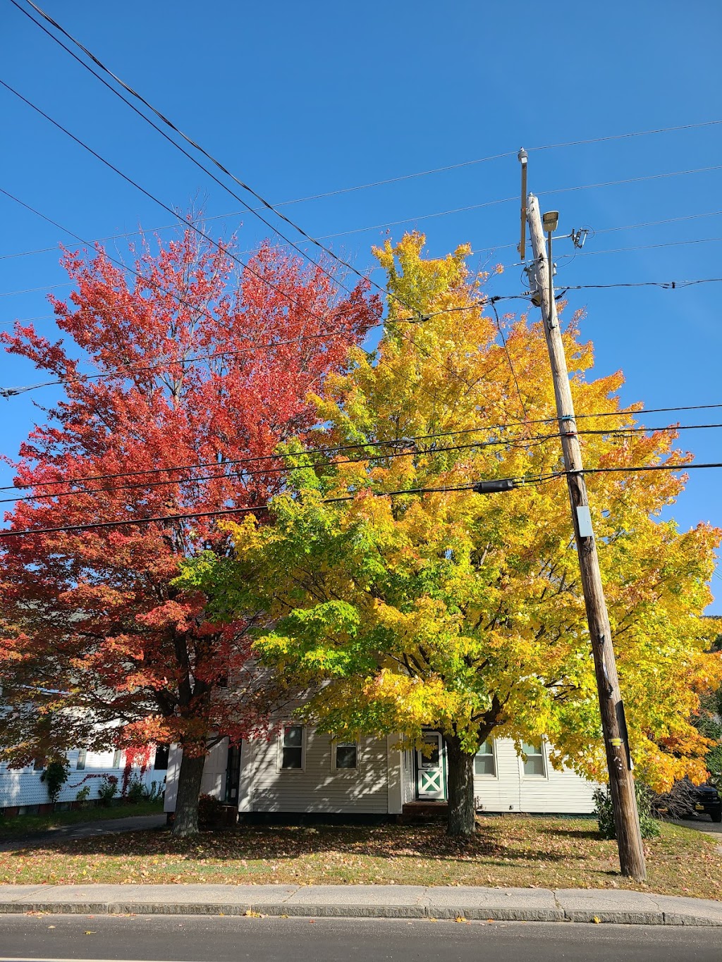 Dermody Road Coffee House | bakery | 101 Main St, Gorham, NH 03581, USA | 6039159144 OR +1 603-915-9144