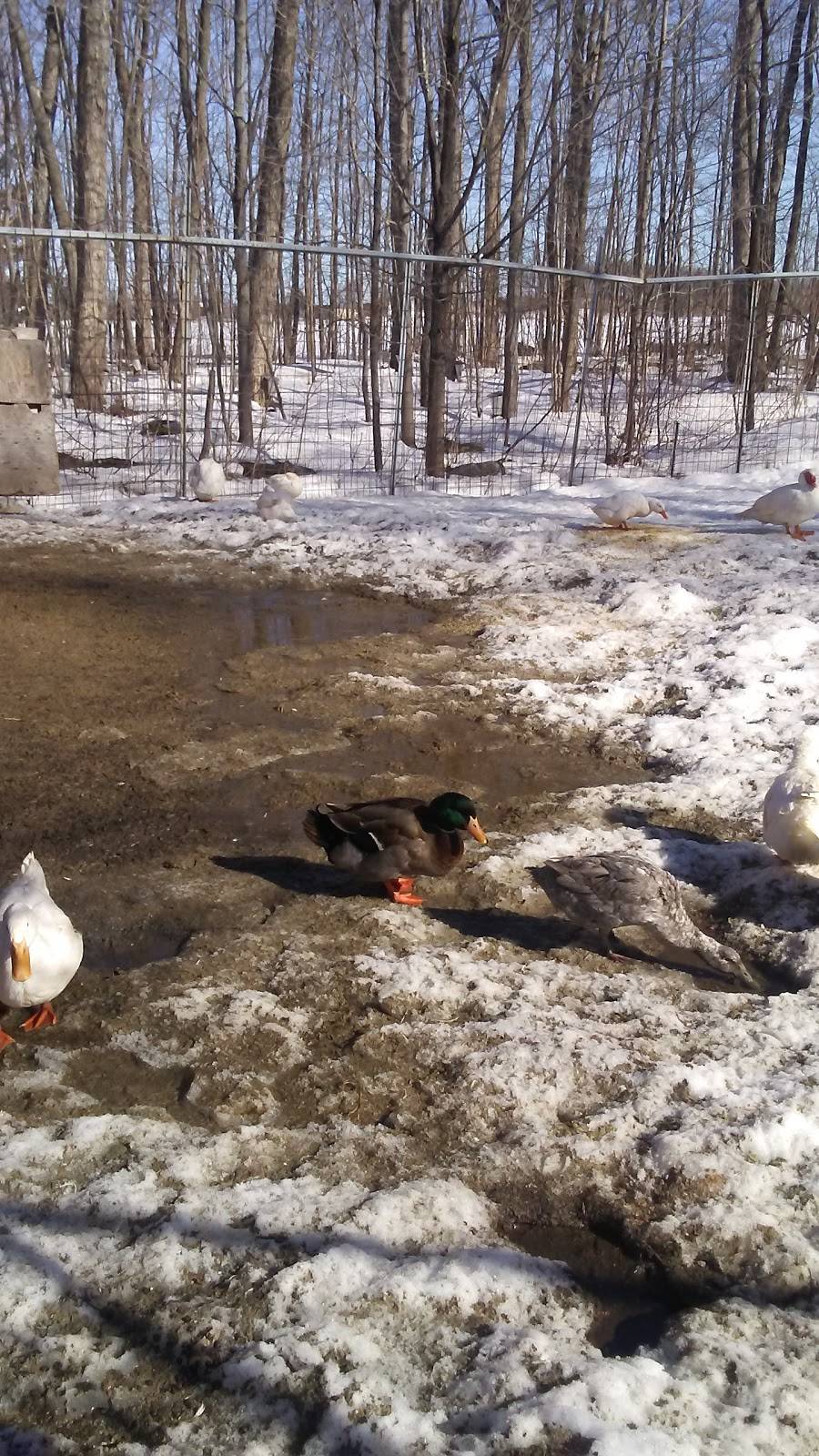 Cabane A Sucre Bouvrette | restaurant | 1000 Rue Nobel, Saint-Jérôme, QC J7Z 7A3, Canada | 4504384659 OR +1 450-438-4659