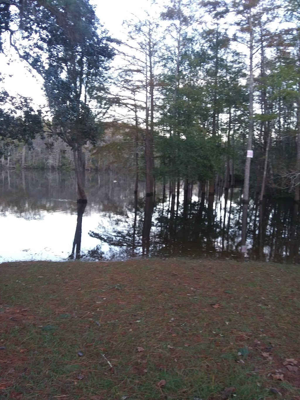 Presleys Outing | The Boathouse Restaurant | restaurant | Moss Point, MS 39562, USA | 2284740200 OR +1 228-474-0200