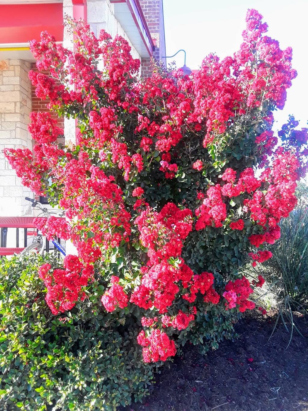 Chicken Express | restaurant | 13282 TX-29, Liberty Hill, TX 78642, USA | 5125486390 OR +1 512-548-6390