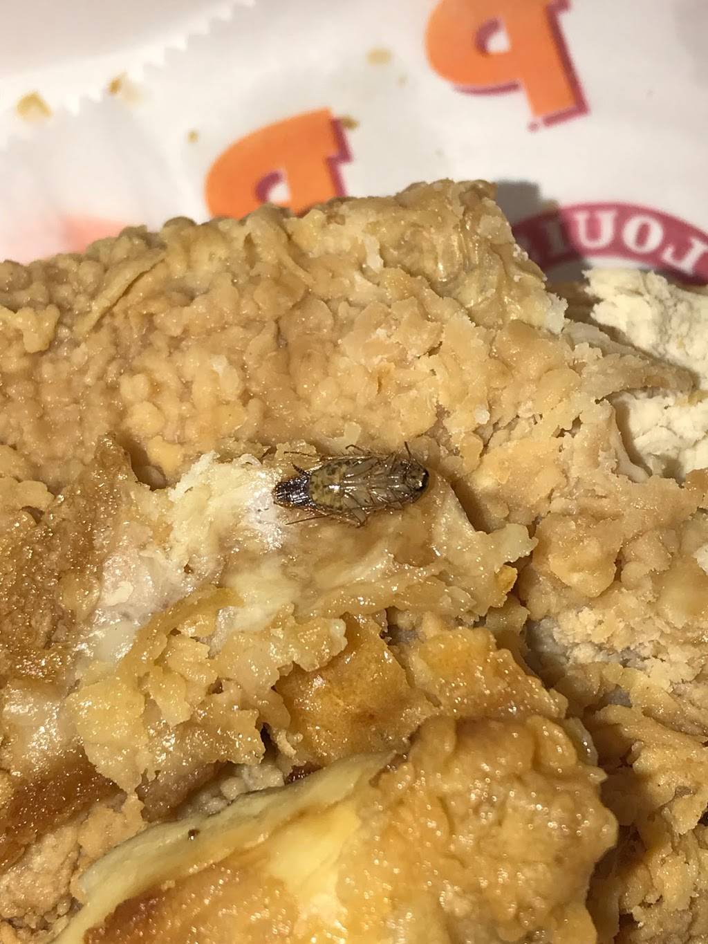 Popeyes Louisiana Kitchen | restaurant | 14605 Eastex Fwy #B, Humble, TX 77396, USA | 2819739185 OR +1 281-973-9185