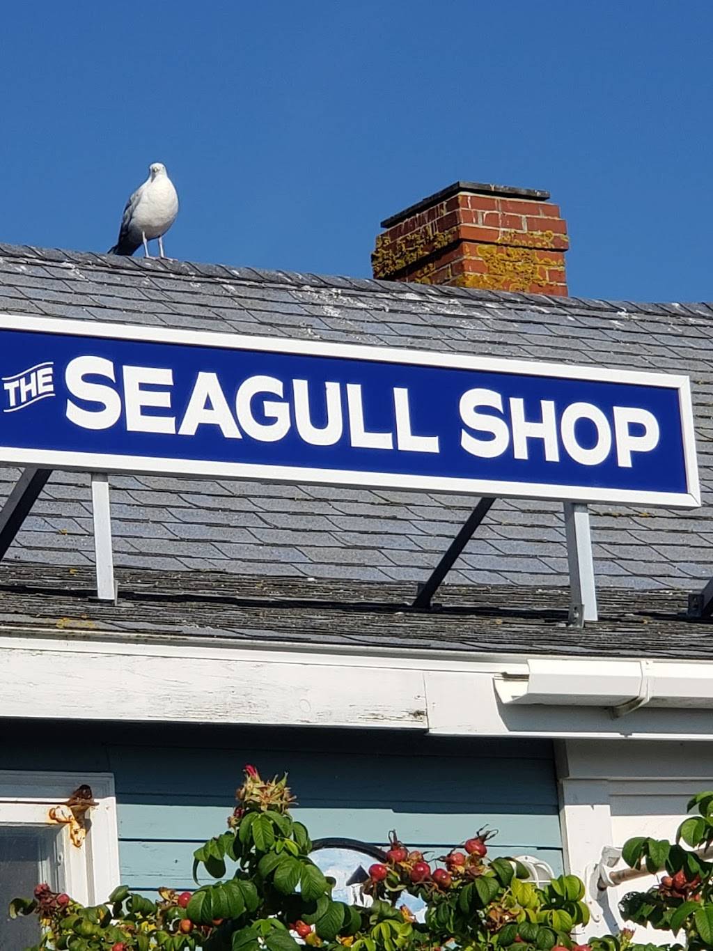 SeaGull Restaurant & Gift | restaurant | 3119 Bristol Rd, New Harbor, ME 04554, USA | 2076772374 OR +1 207-677-2374