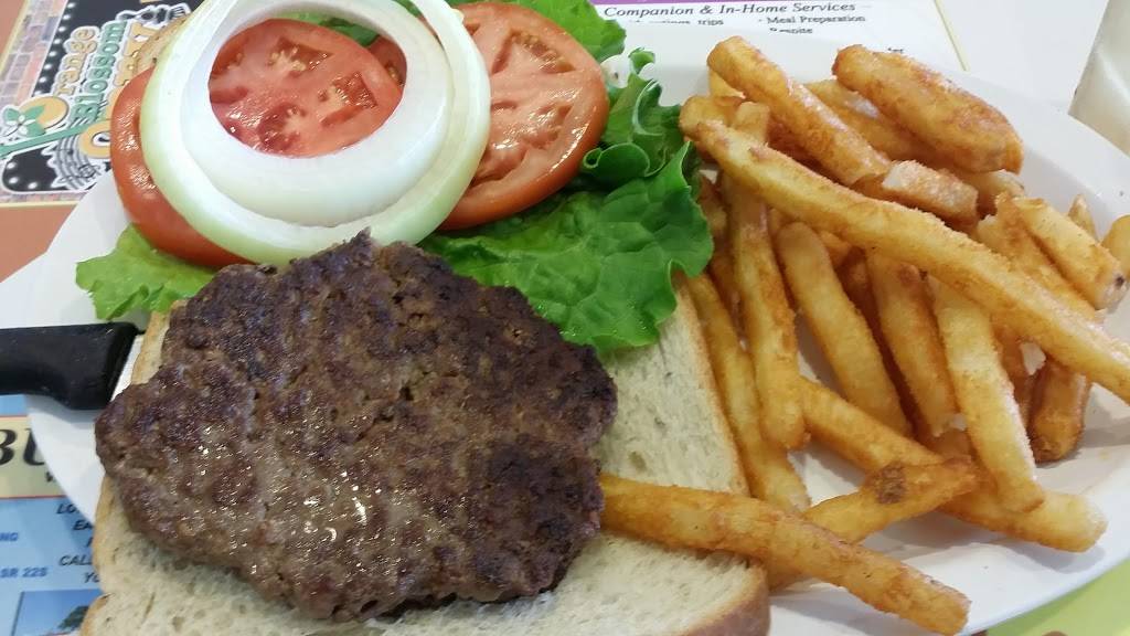 Wolfys | restaurant | 918 N 14th St, Leesburg, FL 34748, USA | 3527876777 OR +1 352-787-6777