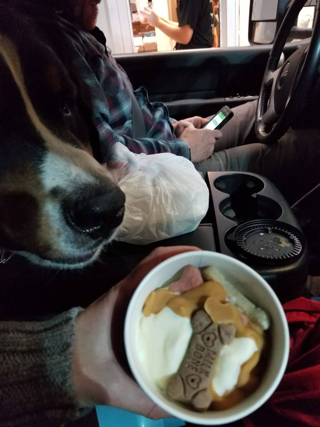 Good Times Burgers & Frozen Custard | restaurant | 1355 N Lincoln Ave, Loveland, CO 80537, USA | 9706637291 OR +1 970-663-7291