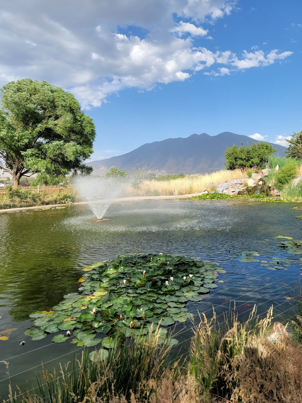 Shri Shri Radha Krishna Temple | restaurant | 311 W 8500 S, Spanish Fork, UT 84660, USA | 8017983559 OR +1 801-798-3559