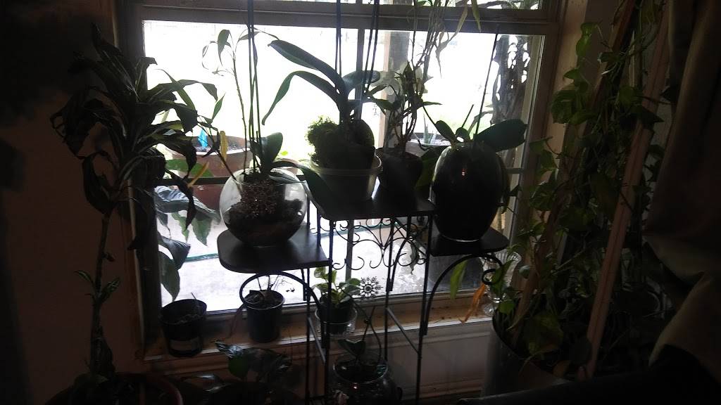 Military QuickStop | restaurant | 5911 Military Pkwy, Dallas, TX 75227, USA | 2143888531 OR +1 214-388-8531