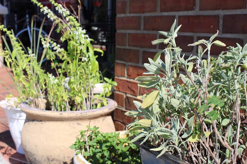 Fresh Bites | restaurant | 11665 Countryway Blvd, Tampa, FL 33626, USA | 8133364936 OR +1 813-336-4936