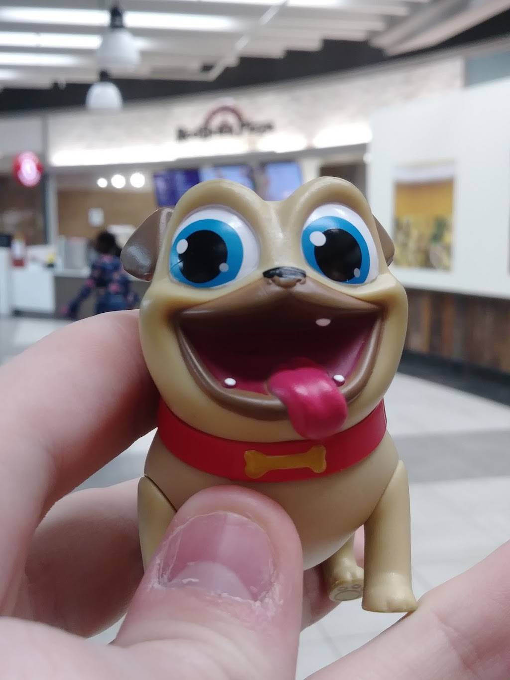 RedBrick Pizza | meal takeaway | 5000 Shelbyville Rd, Louisville, KY 40207, USA | 5026537078 OR +1 502-653-7078