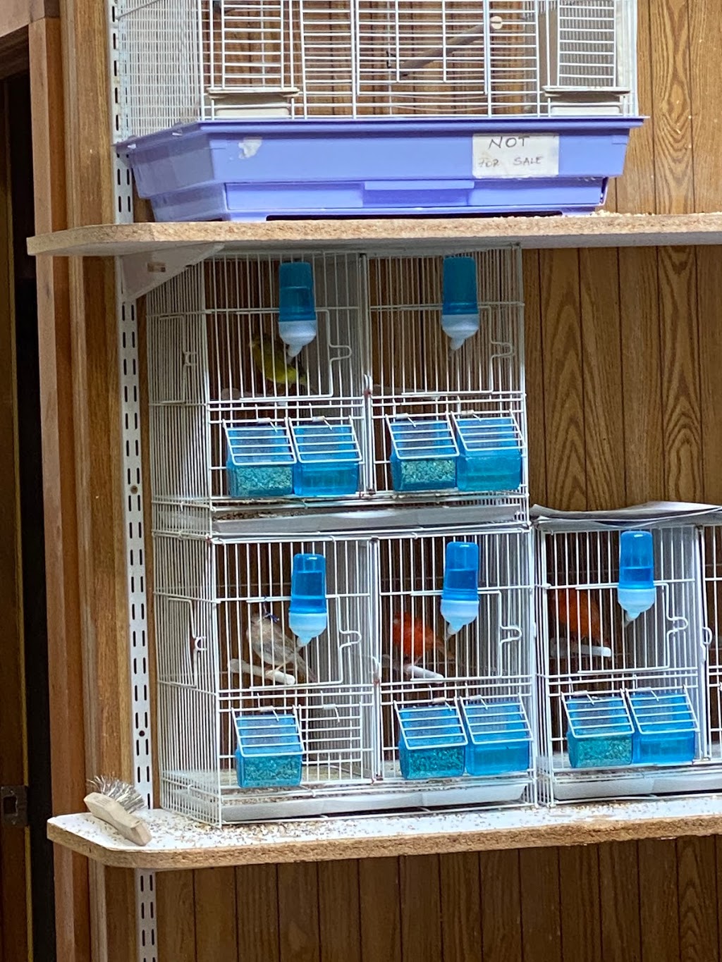 Belmont Feed & Seed | restaurant | 3036 W Belmont Ave, Chicago, IL 60618, USA | 7735881144 OR +1 773-588-1144