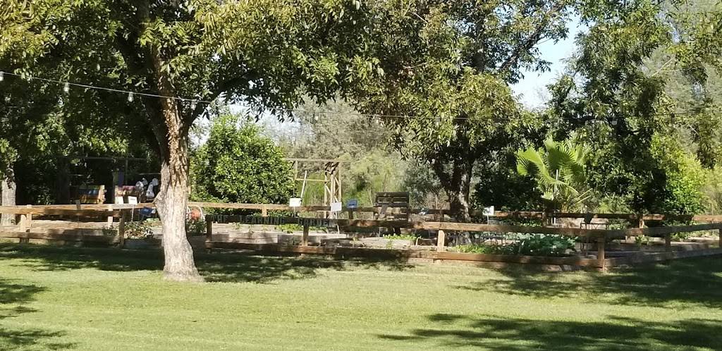 The Farm at South Mountain | restaurant | 6106 S 32nd St, Phoenix, AZ 85042, USA | 6022766360 OR +1 602-276-6360