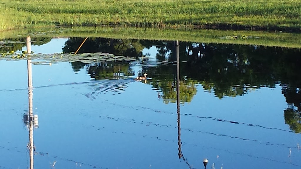 Westar (Crossroads Market) | restaurant | 2200 SE Walton Rd, Port St. Lucie, FL 34952, USA | 7723357152 OR +1 772-335-7152