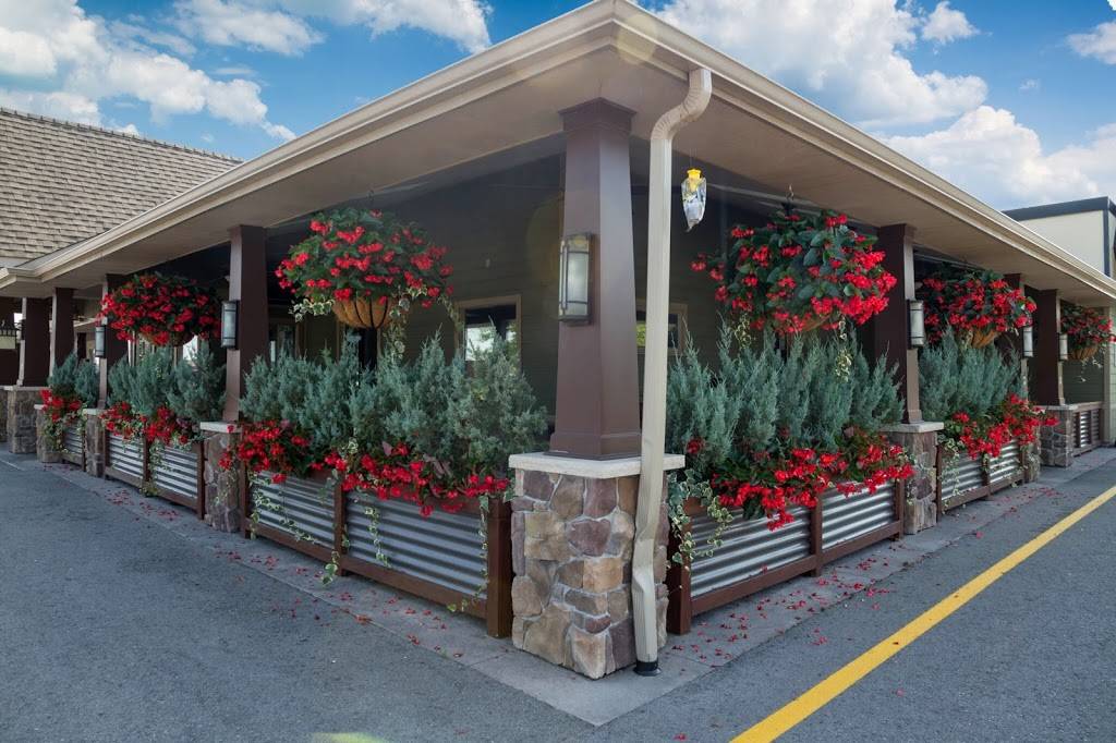 M.T. Bellies | restaurant | 871 Niagara St, Welland, ON L3C 1M4, Canada | 9057889474 OR +1 905-788-9474