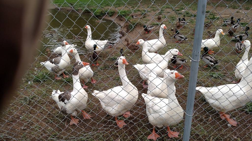 Middleton Cider Mill | restaurant | 46462 Dequindre Rd, Shelby Charter Twp, MI 48317, USA | 5867316699 OR +1 586-731-6699