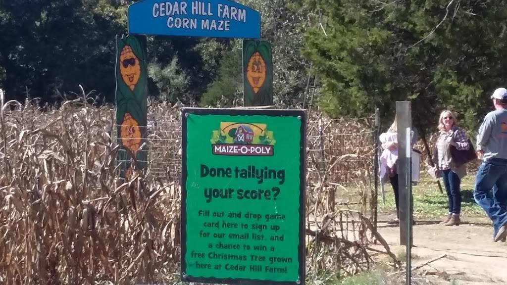 Cedar Hill Farm | restaurant | 8 Love Rd, Hernando, MS 38632, USA | 6624292540 OR +1 662-429-2540