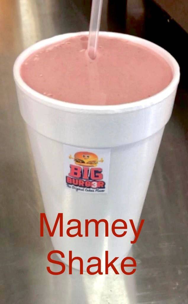 Big Burg3r | restaurant | 26606 S Dixie Hwy, Homestead, FL 33032, USA | 7867865778 OR +1 786-786-5778