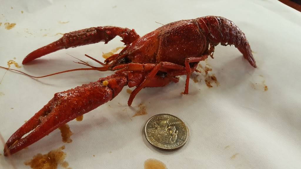 Tasty Tails | cafe | 240 Legacy Dr, Plano, TX 75023, USA | 9725177868 OR +1 972-517-7868