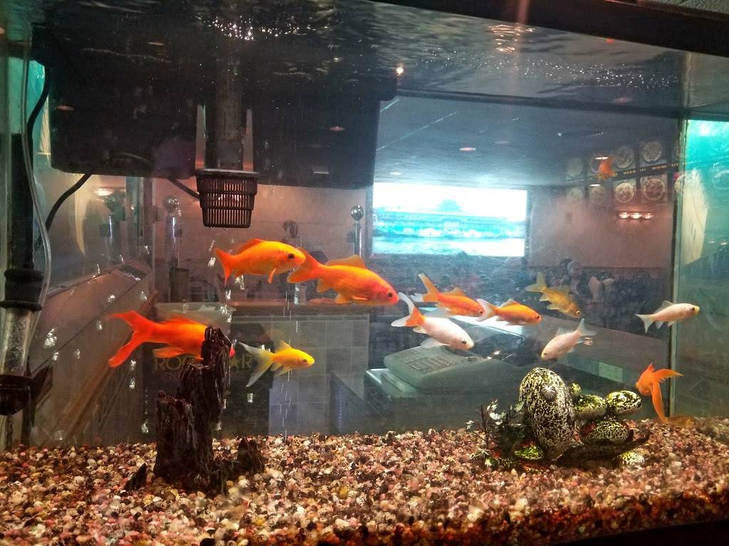 China Buffet | restaurant | 1611 Losey Blvd S, La Crosse, WI 54601, USA | 6087883591 OR +1 608-788-3591