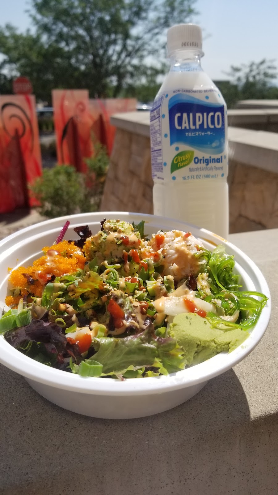 Poki Bowl | restaurant | 5580 S Parker Rd, Aurora, CO 80015, USA | 7203895489 OR +1 720-389-5489