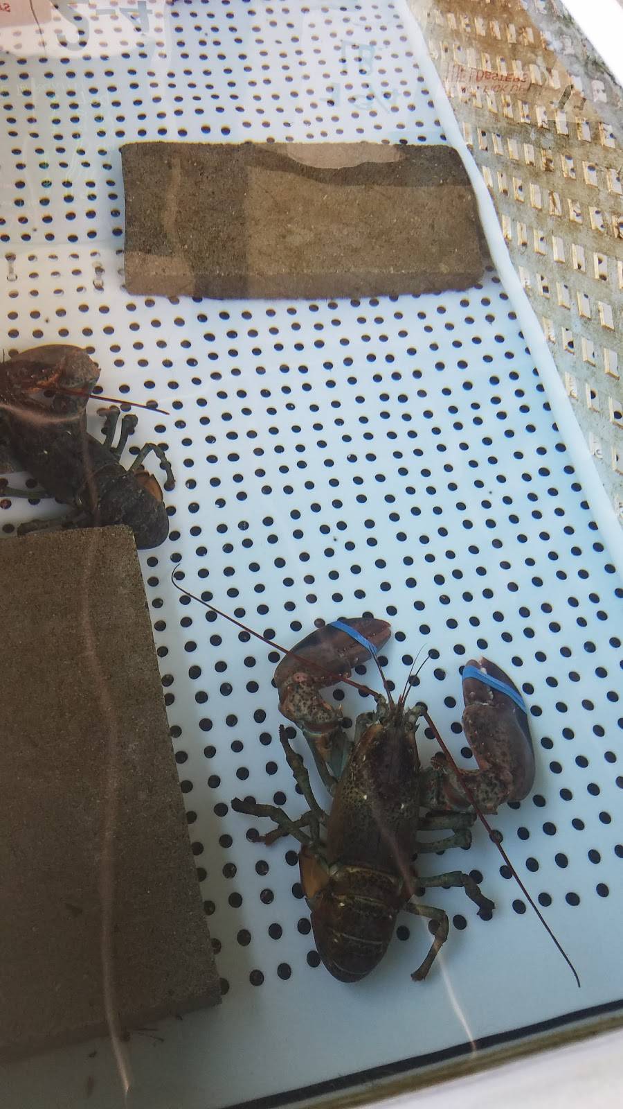 The Lobster Pot | restaurant | 301 US-1, Kittery, ME 03904, USA | 2077529193 OR +1 207-752-9193