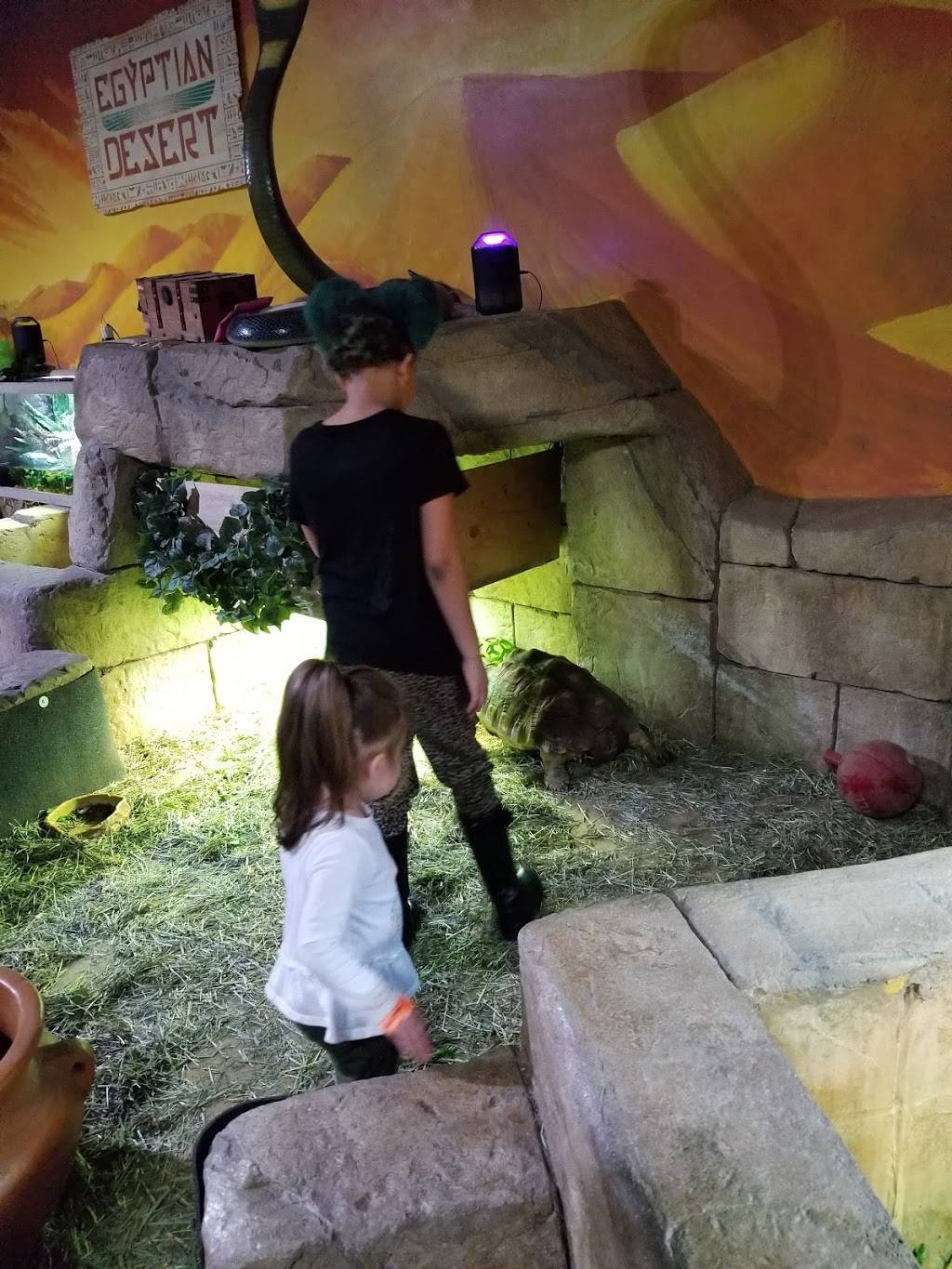 Chipotle Mexican Grill | restaurant | 8501 W Bowles Ave Ste 2020, Littleton, CO 80123, USA | 3039733401 OR +1 303-973-3401