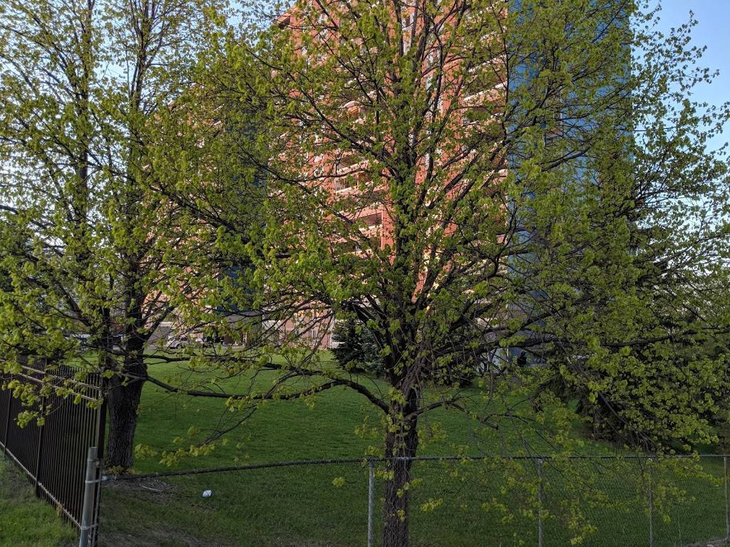 Subway | restaurant | 105 Parkway Forest Dr, North York, ON M2J 1L8, Canada | 4164930600 OR +1 416-493-0600