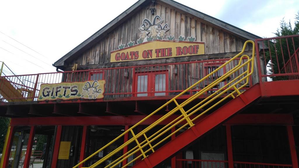 Goats On The Roof | restaurant | 3026 US-441, Tiger, GA 30576, USA | 7067822784 OR +1 706-782-2784