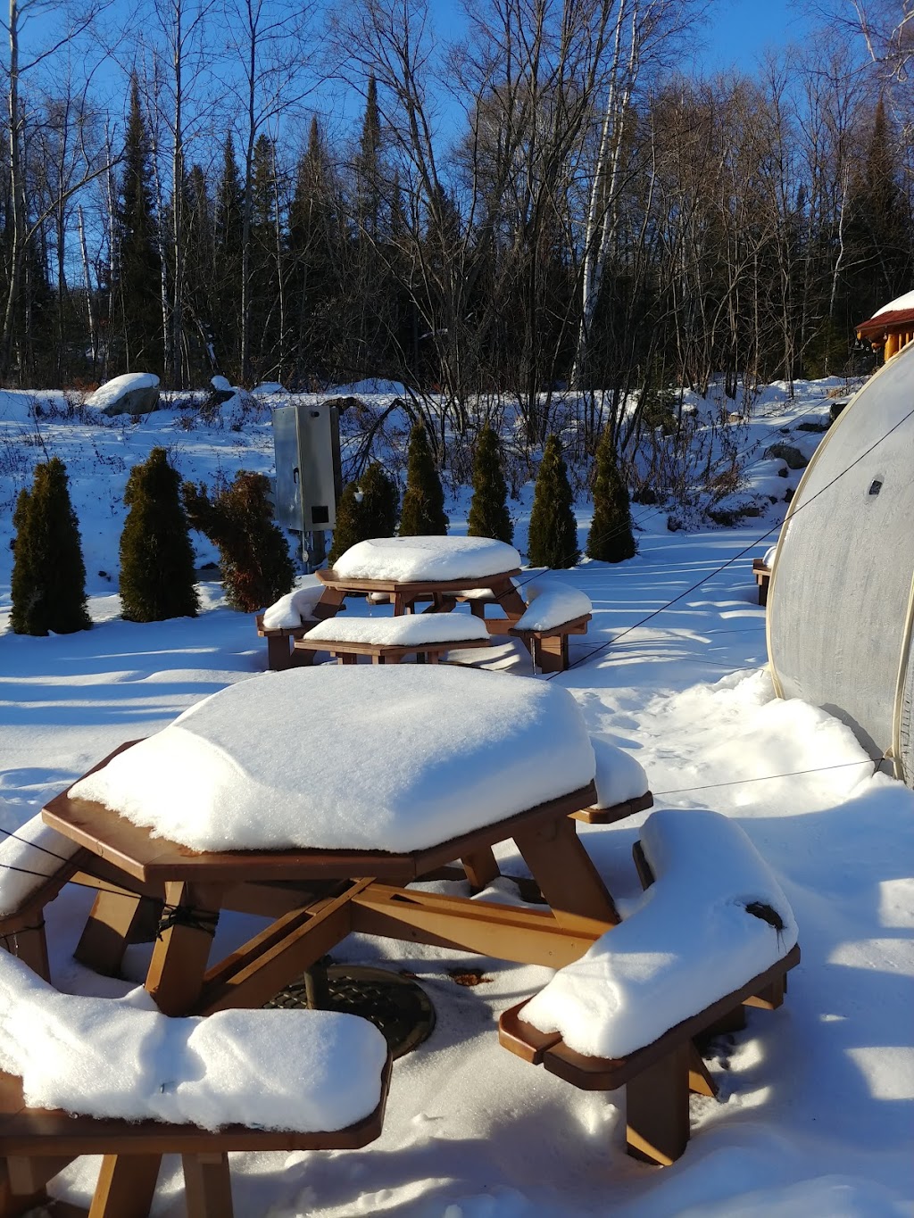 Mount Shasta Restaurant | restaurant | 1915 US Hwy 41, Michigamme, MI 49861, USA | 9066620120 OR +1 906-662-0120