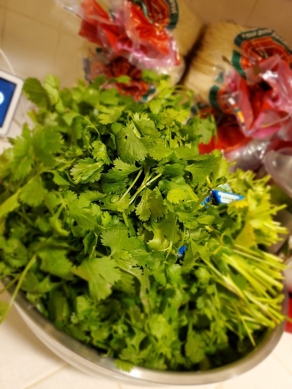 Gordoz Tacos | restaurant | 225 Rose Ct, Campbell, CA 95008, USA | 4085069217 OR +1 408-506-9217