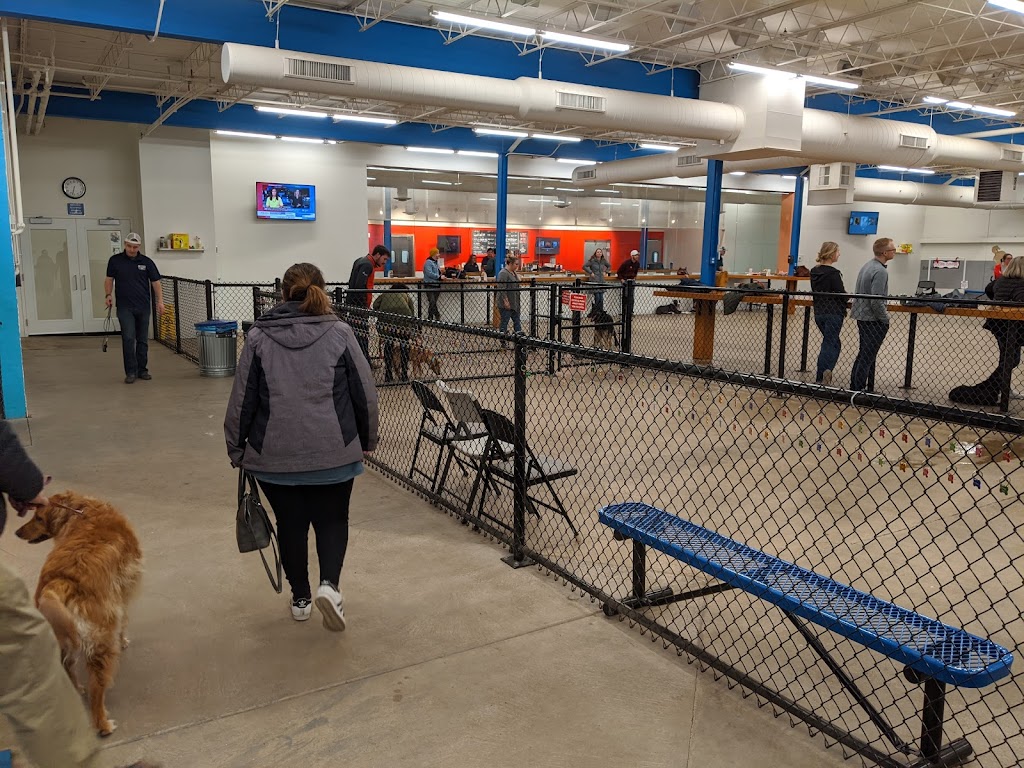 Unleashed Hounds and Hops | restaurant | 200 East Lyndale Ave N, Minneapolis, MN 55405, USA | 6124395060 OR +1 612-439-5060