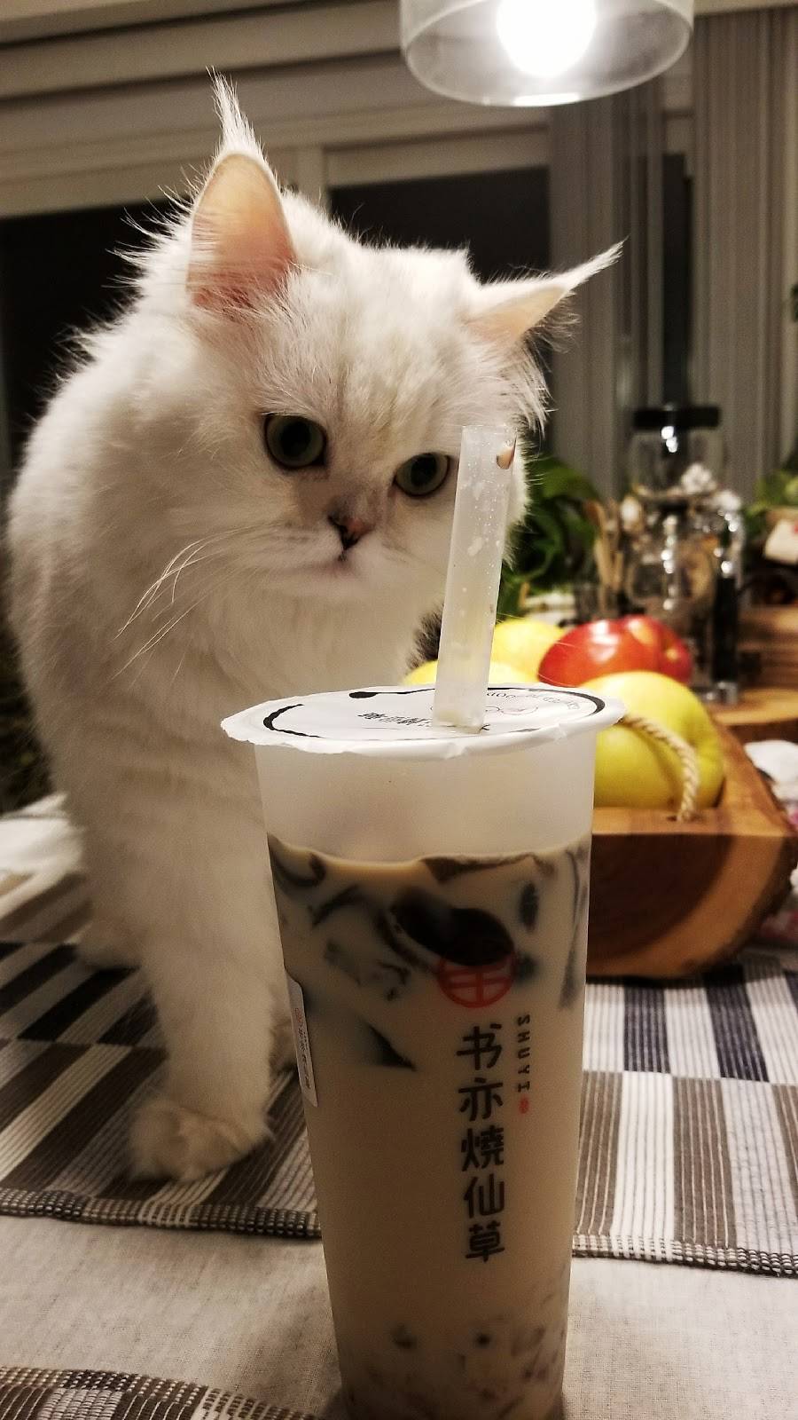 SHUYI CANADA | restaurant | 37 Sheppard Ave E, North York, ON M2N 2Z8, Canada | 6473260113 OR +1 647-326-0113