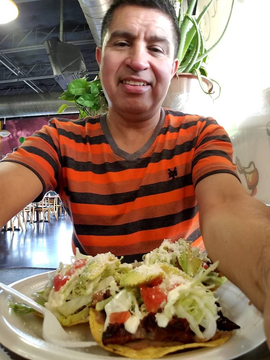 Rizos Cafe | restaurant | 2828C Starlight Rd, Dallas, TX 75220, USA | 2145412030 OR +1 214-541-2030