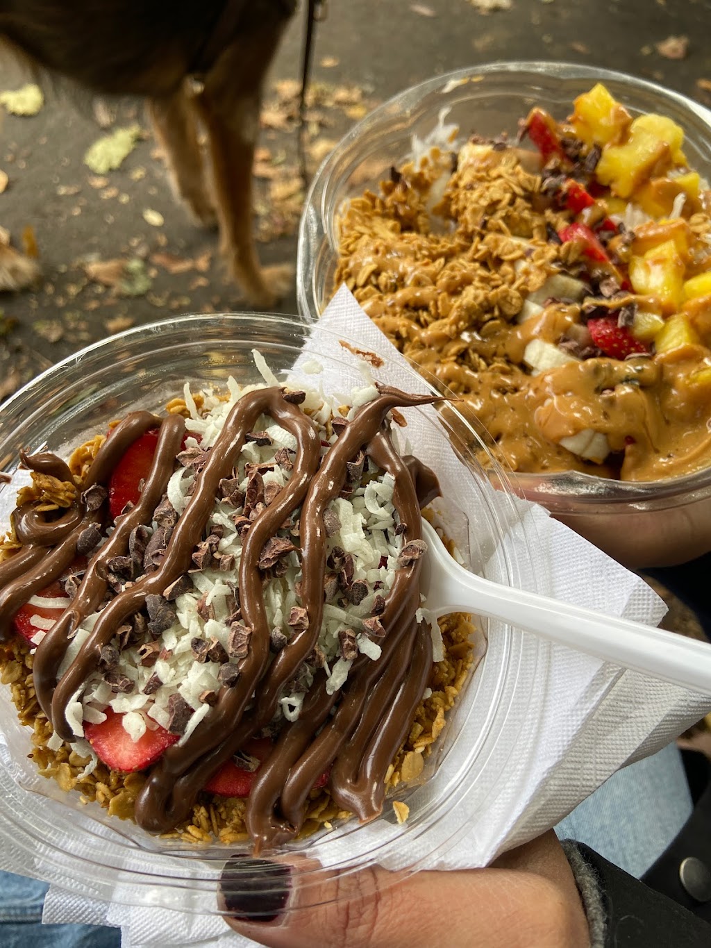 Baya Bar Carroll Gardens | restaurant | 429 Court St, Brooklyn, NY 11231, USA | 9292502130 OR +1 929-250-2130