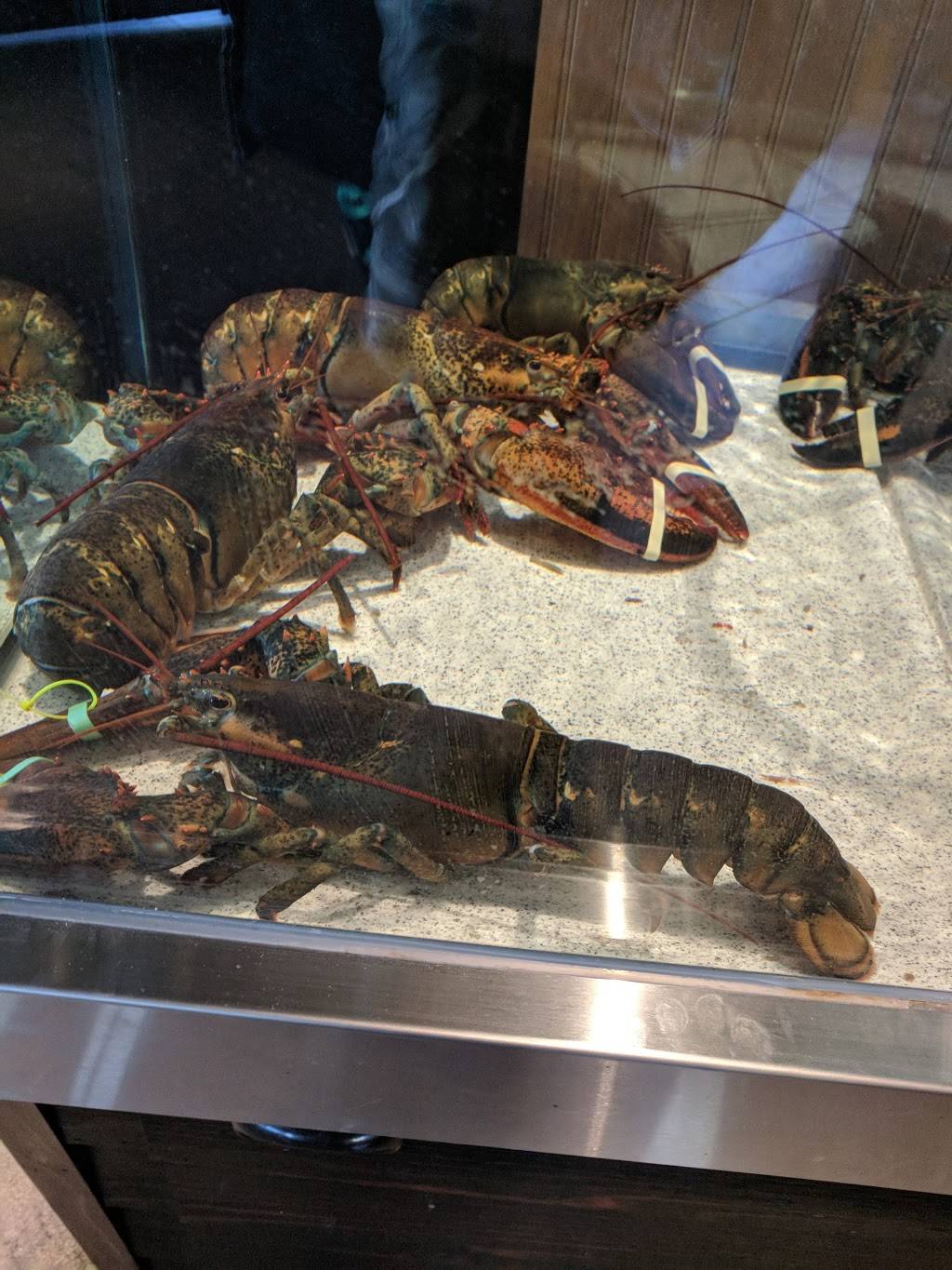 Red Lobster | restaurant | 139 Tunnel Rd, Asheville, NC 28805, USA | 8283507773 OR +1 828-350-7773