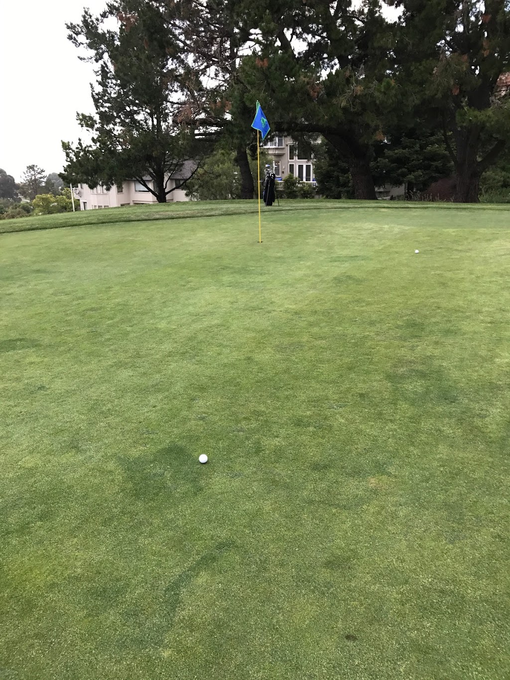 Bay View Golf Club | restaurant | 1500 Country Club Dr, Milpitas, CA 95035, USA | 4082628813 OR +1 408-262-8813