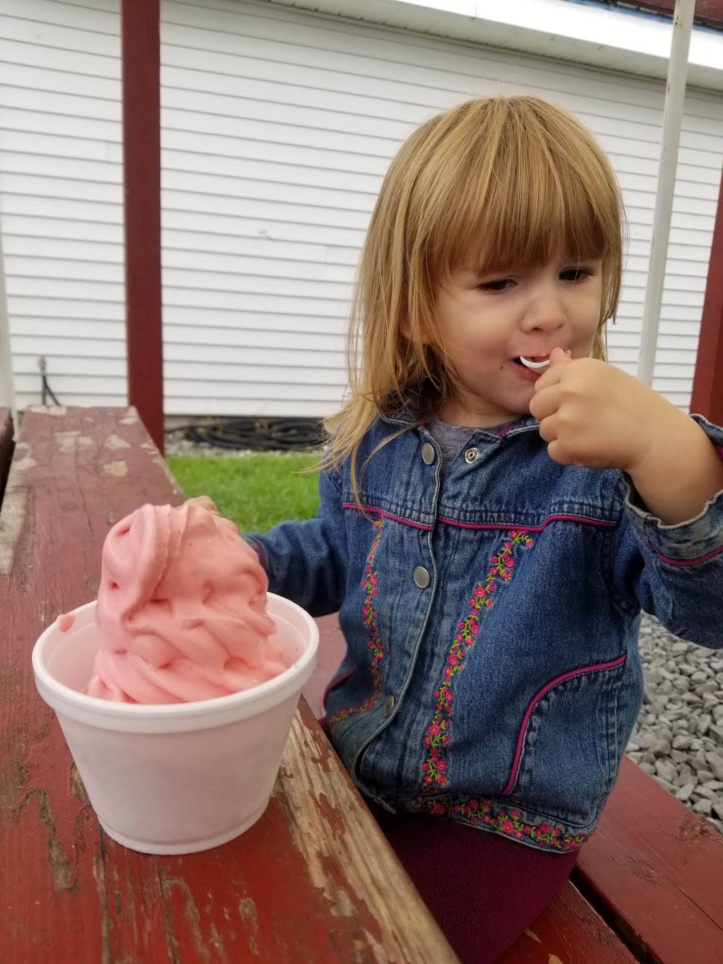 Mountain View Snack Bar | meal takeaway | 32 Carey Rd, Hardwick, VT 05843, USA | 8024723053 OR +1 802-472-3053