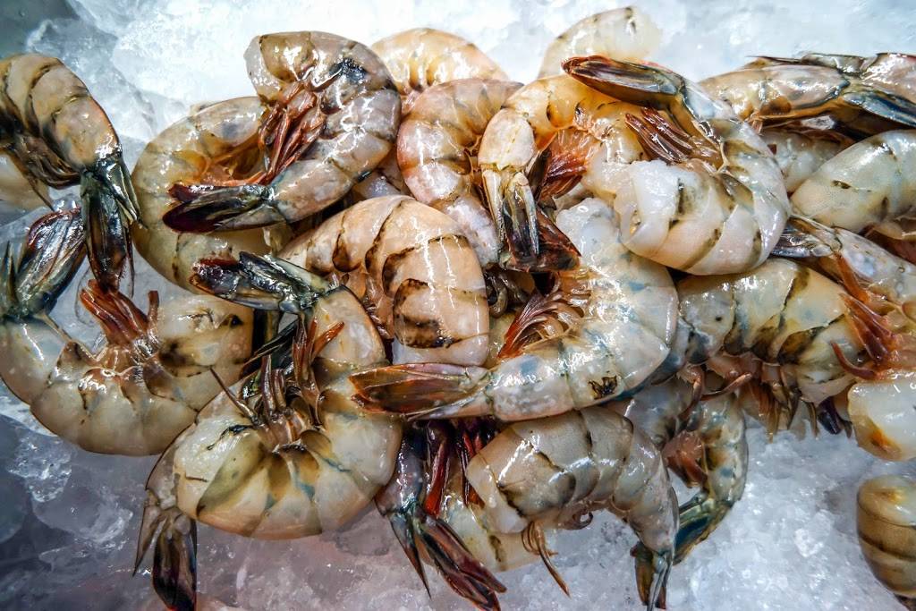 East Coast Fish LLC |  | 12705 NW 42nd Ave, Opa-locka, FL 33054, USA | 7864799241 OR +1 786-479-9241