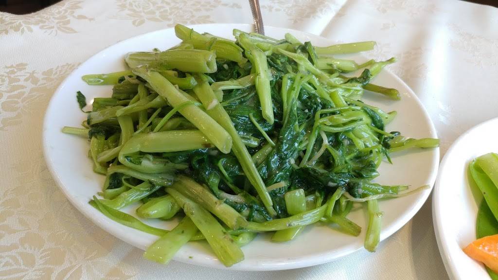 New Choice Restaurant | restaurant | 324 Hwy 7, Richmond Hill, ON L4B 1A6, Canada | 9058862313 OR +1 905-886-2313